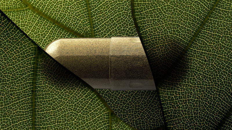 CBD Naturopathic Professionals , Cannabis Cannabidiol, medical use