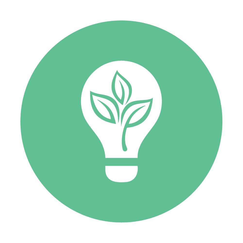 Innovation at the Core